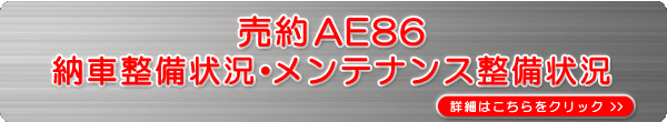 AE86[Ԑ󋵁EeiX